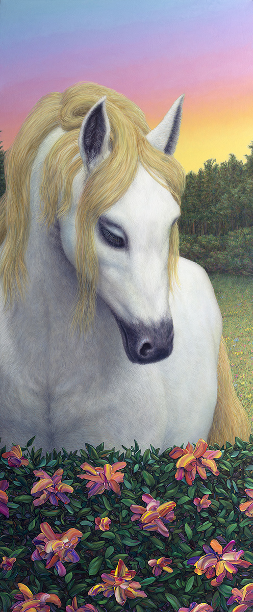 Pretty White Horse